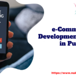e-Commerce Development Agency in Pune